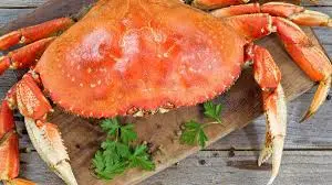 Dungeness Crab: Taste & Texture