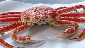 taste & texture of snow crab