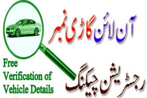 Check Vehicle Registration by SMS